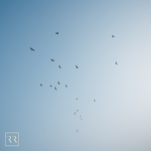 邻家扭蛋女漫画免费阅读未删减
