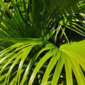 邻家扭蛋女漫画免费阅读未删减
